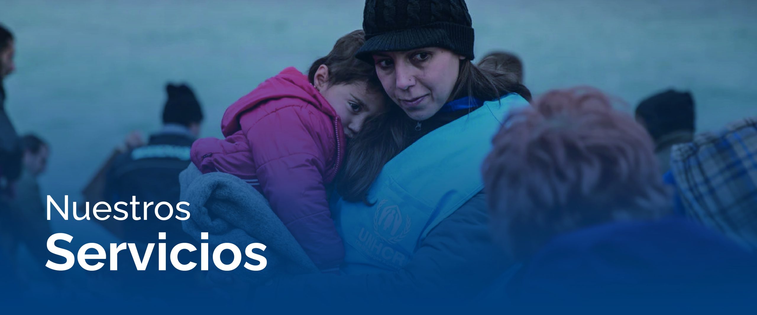 portada nuestros servicios